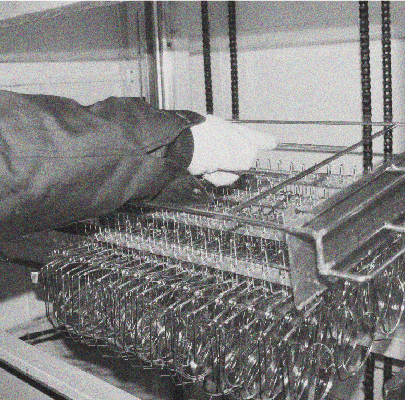 <ترجمة الامتداد=